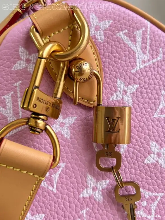 Official oldcobbler Vuitton 25 SPEEDY Louis 0630
